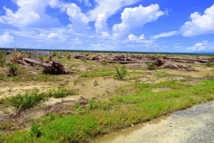 Guadalcanal Plains on which the farm is situated. Photo credit: SIBC.
