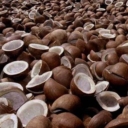 Coconut copra. Photo credit: www.jebasexports.com