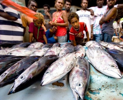 A boy selling his family's catch at the Honiara main market. Photo credit: Green Peace.