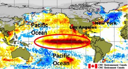 El Nino in the Pacific region. Photo credit: www.theweathernetwork.com