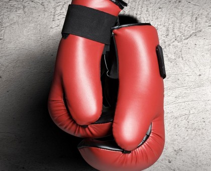 Boxing gloves. Photo credit: www.gocertify.com