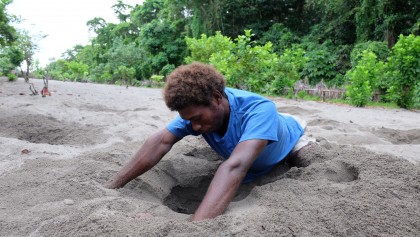 A man from Panueli village struggles to find megapode eggs on a morning dig. 