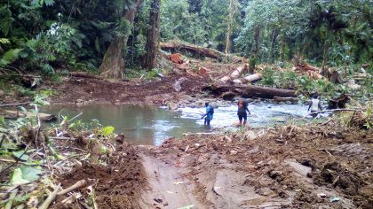 Current logging rate is still unsustainable: Wale