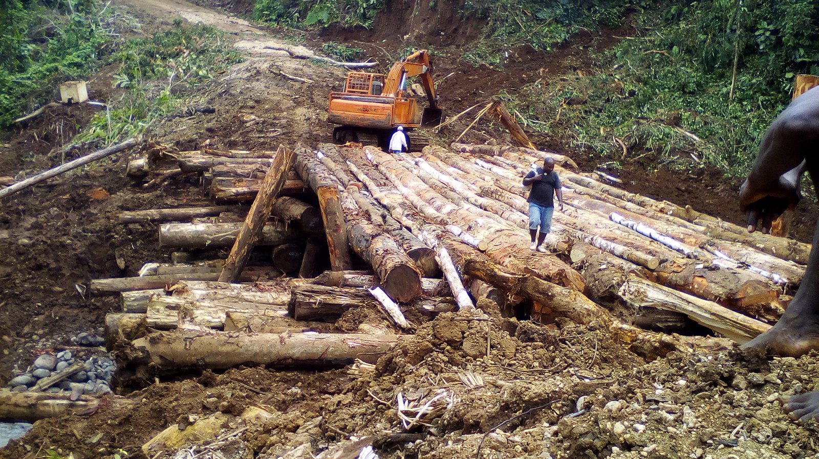 logging-on-heights-banned-solomon-islands-broadcasting-corporation-sibc