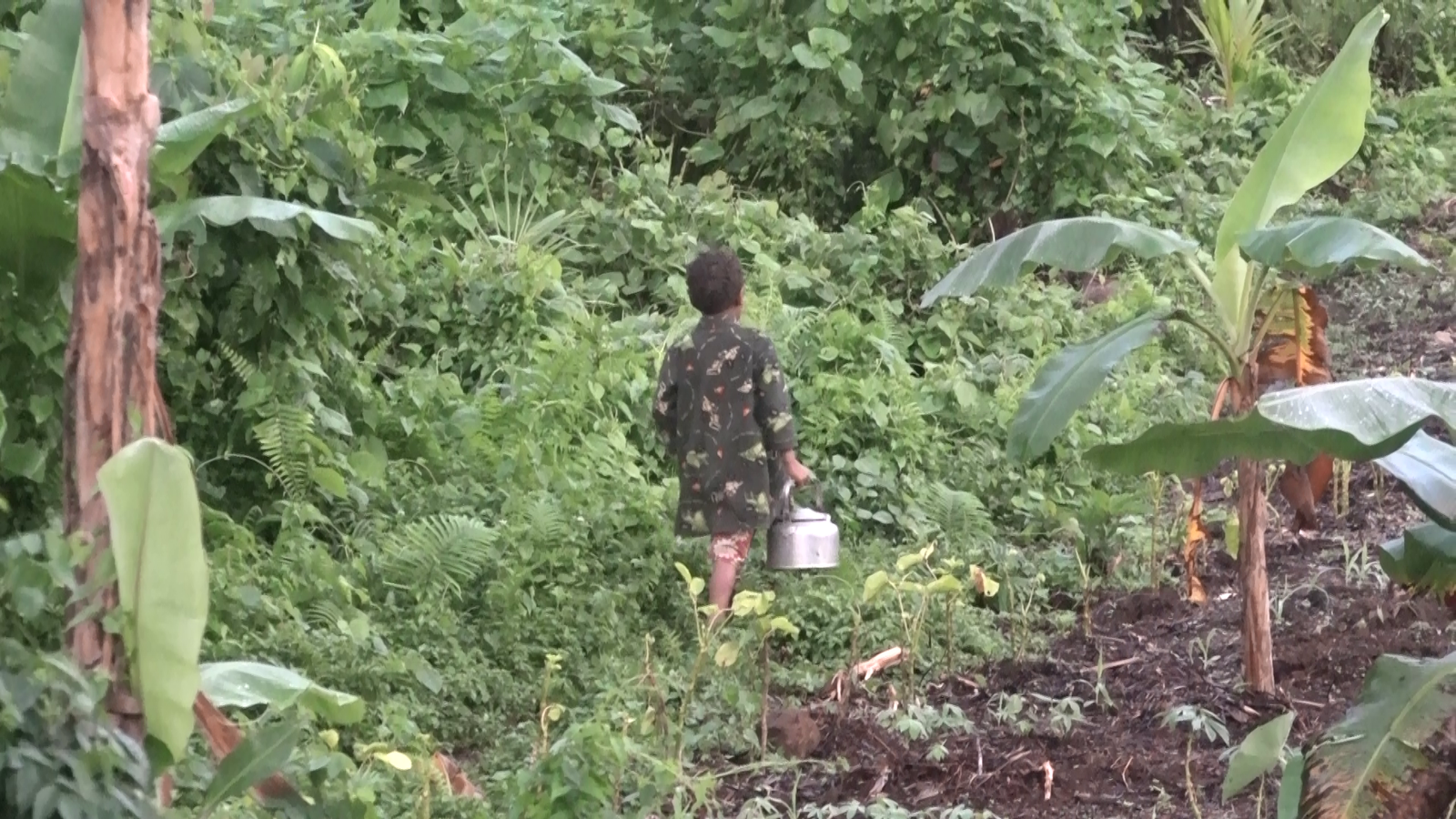 Lack of clean drinking Water in rural Solomon Islands