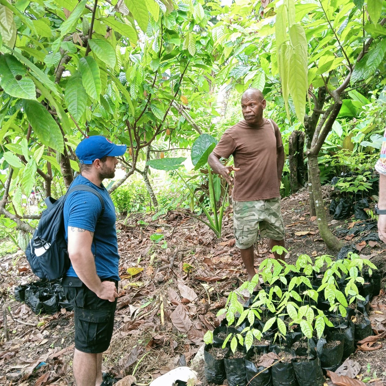 UK cocoa buyers undertake successful trade mission to Solomon Islands