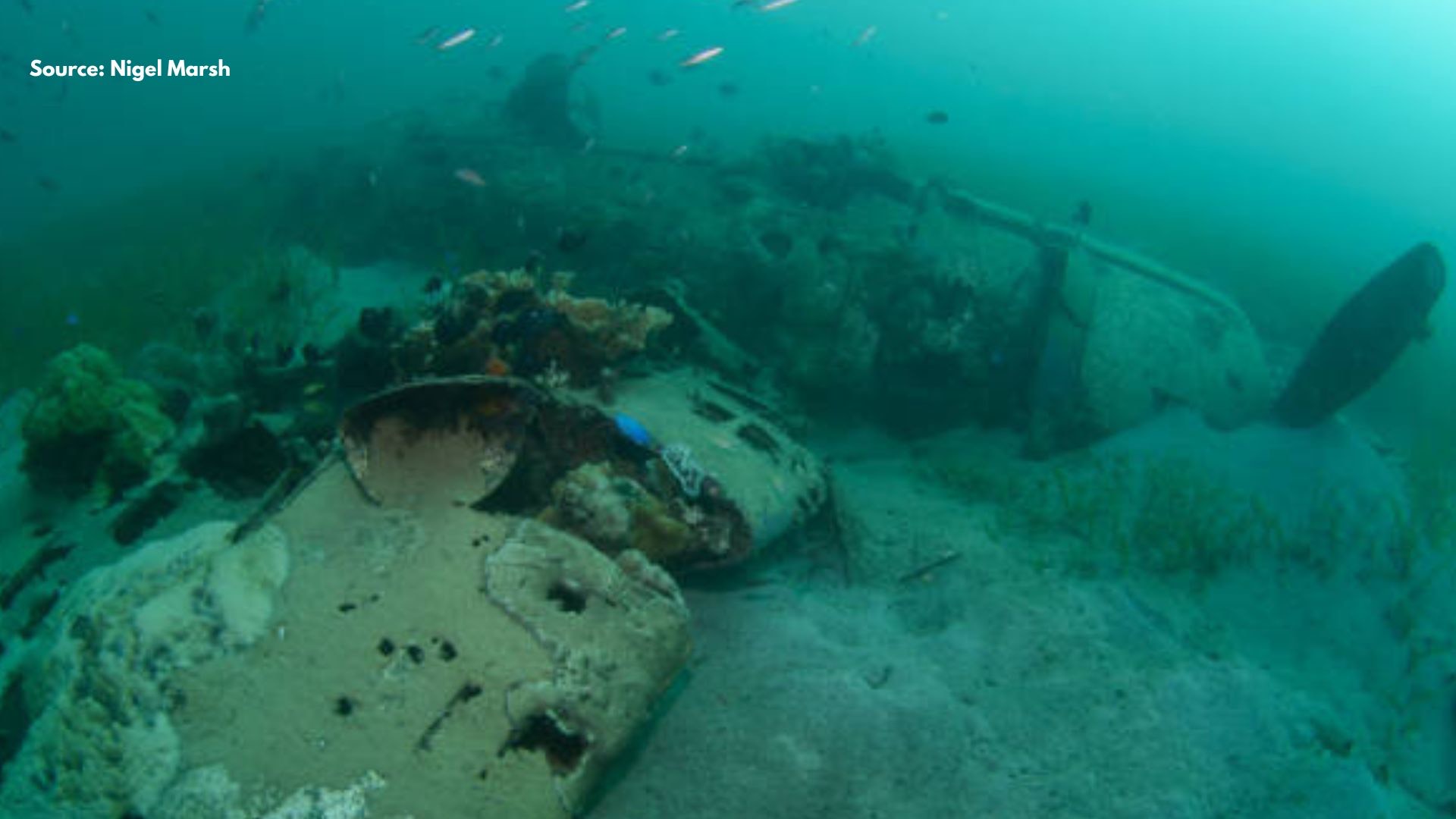 Potentially Polluting Wrecks- A threat to marine ecosystems in Solomon Islands